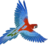 Rosella logo